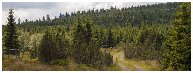 Jizerky - Bedřichov