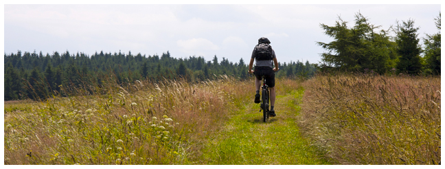 Krušné hory na kole