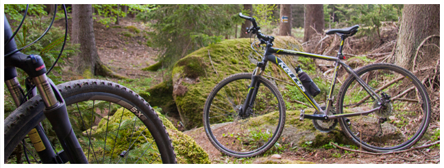 Voděradské bučiny