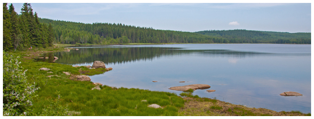 Jizerské hory, Černá Nisa